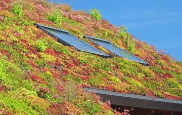 Brompton On Swale living roof systems