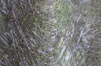 Brompton On Swale fibreglass roof work